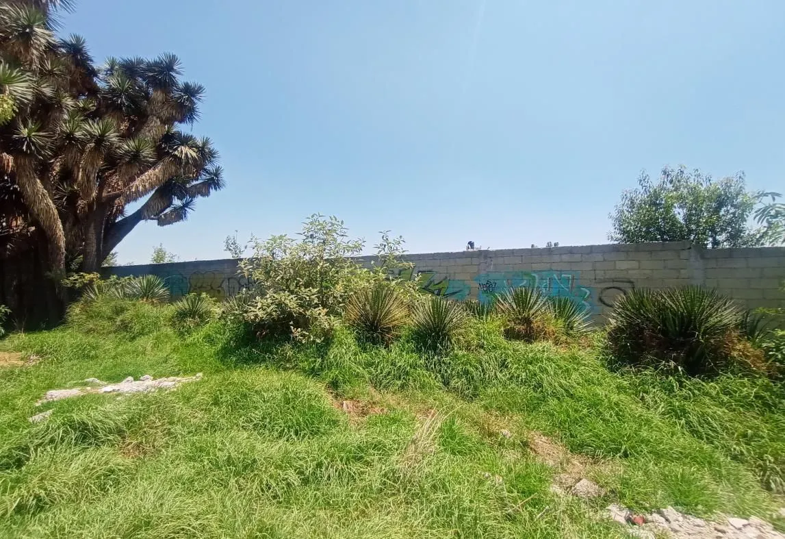 Terreno Spot2