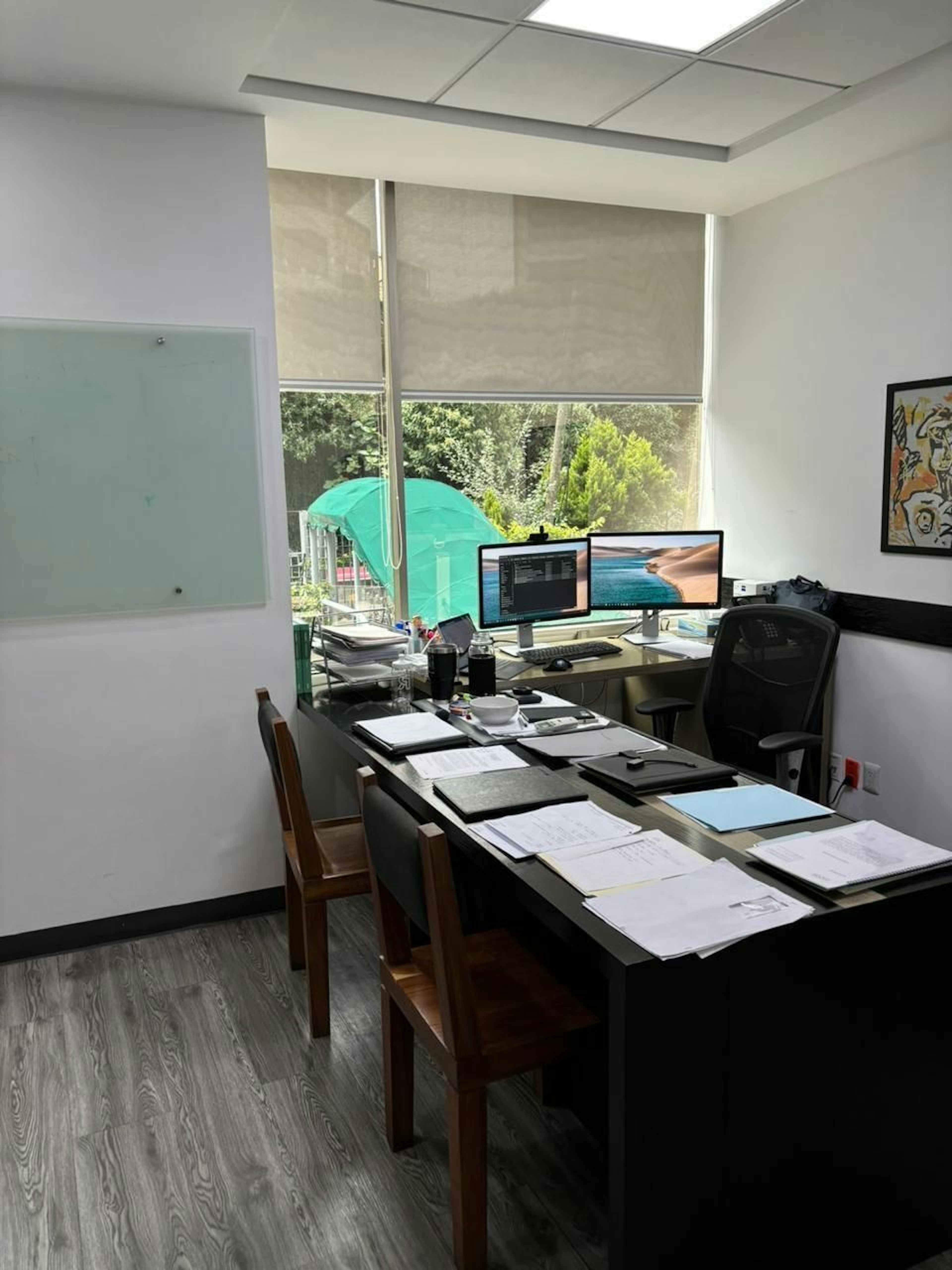 Bosque De Radiatas 44