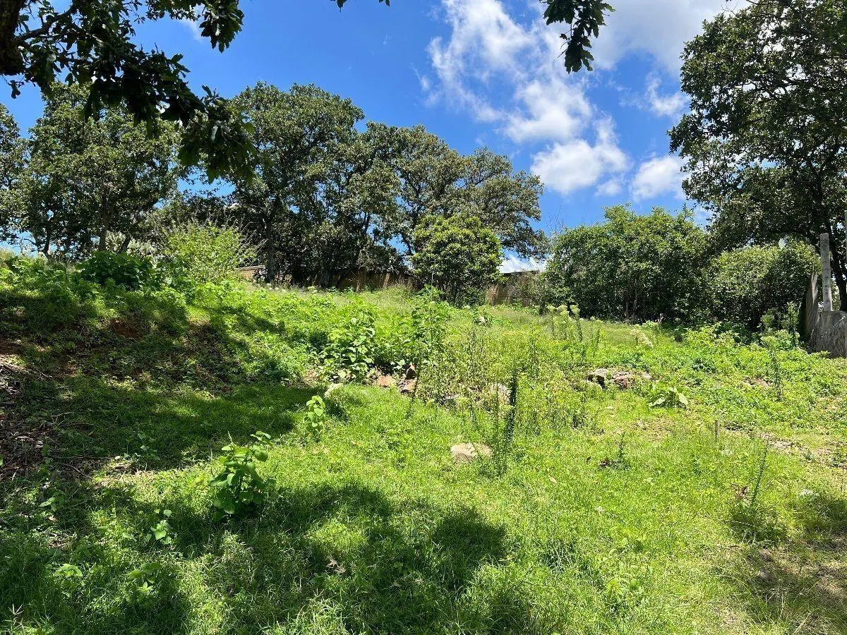 Terreno Spot2