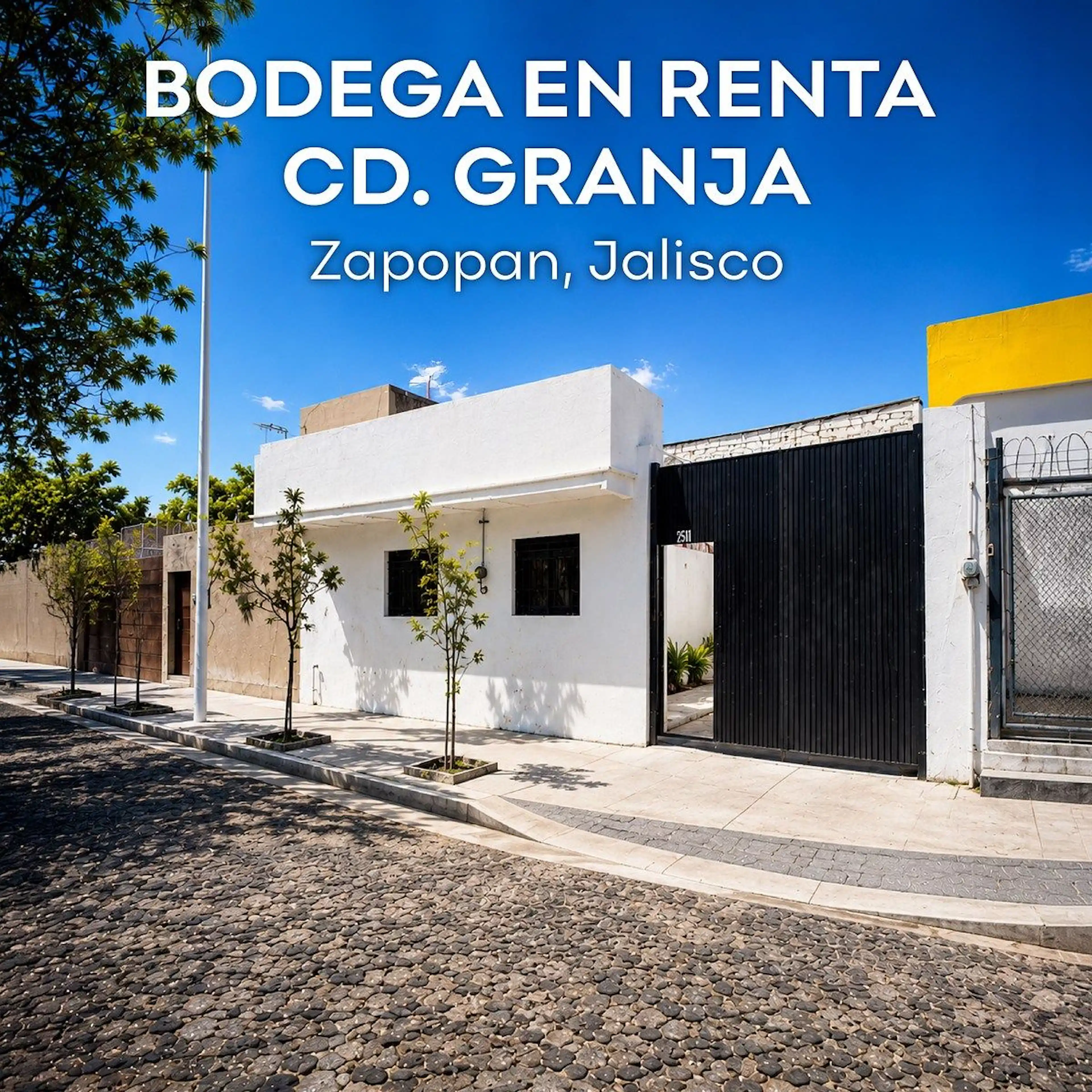 Calzada De Las Palmas 23