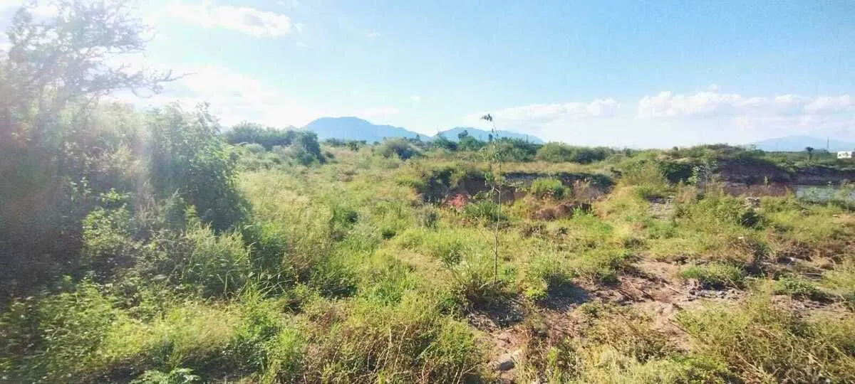 Terreno Spot2
