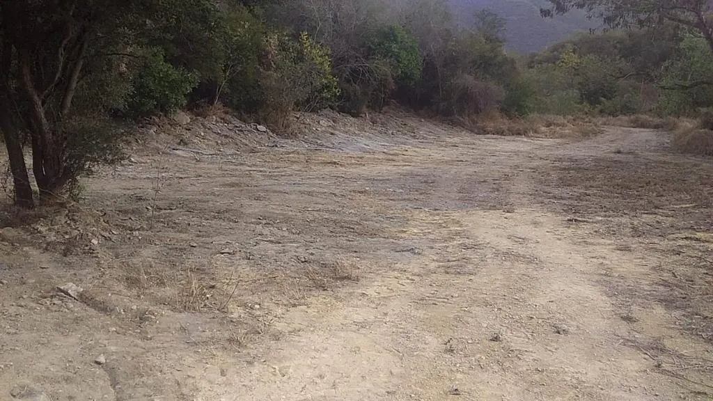 Terreno Spot2