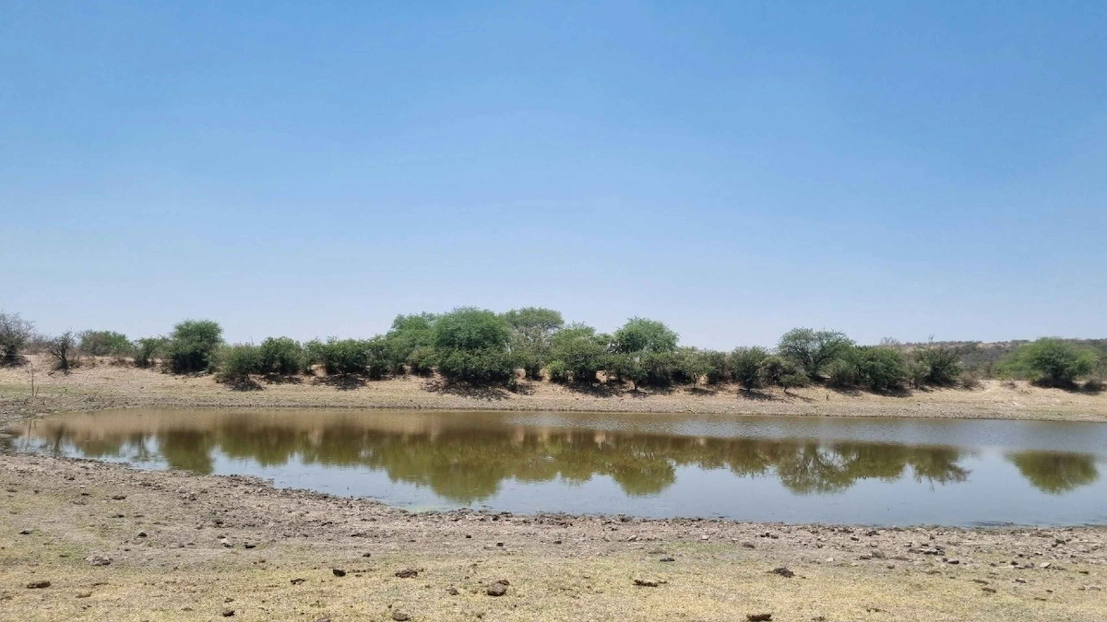 Aguascalientes 108 219