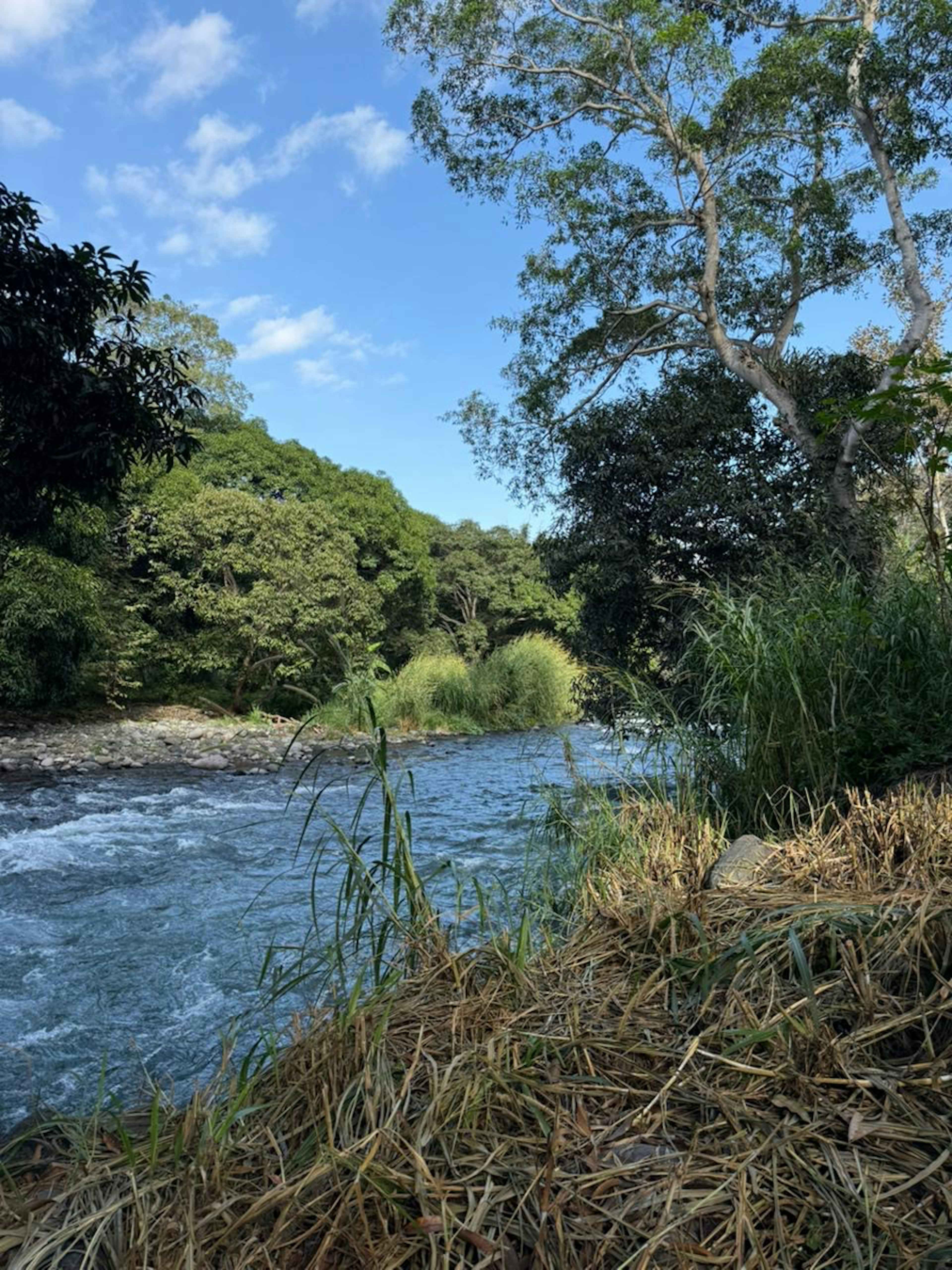 Terreno En Venta En Villa Nueva, Actopan, Veracruz De Ignacio De La Llave