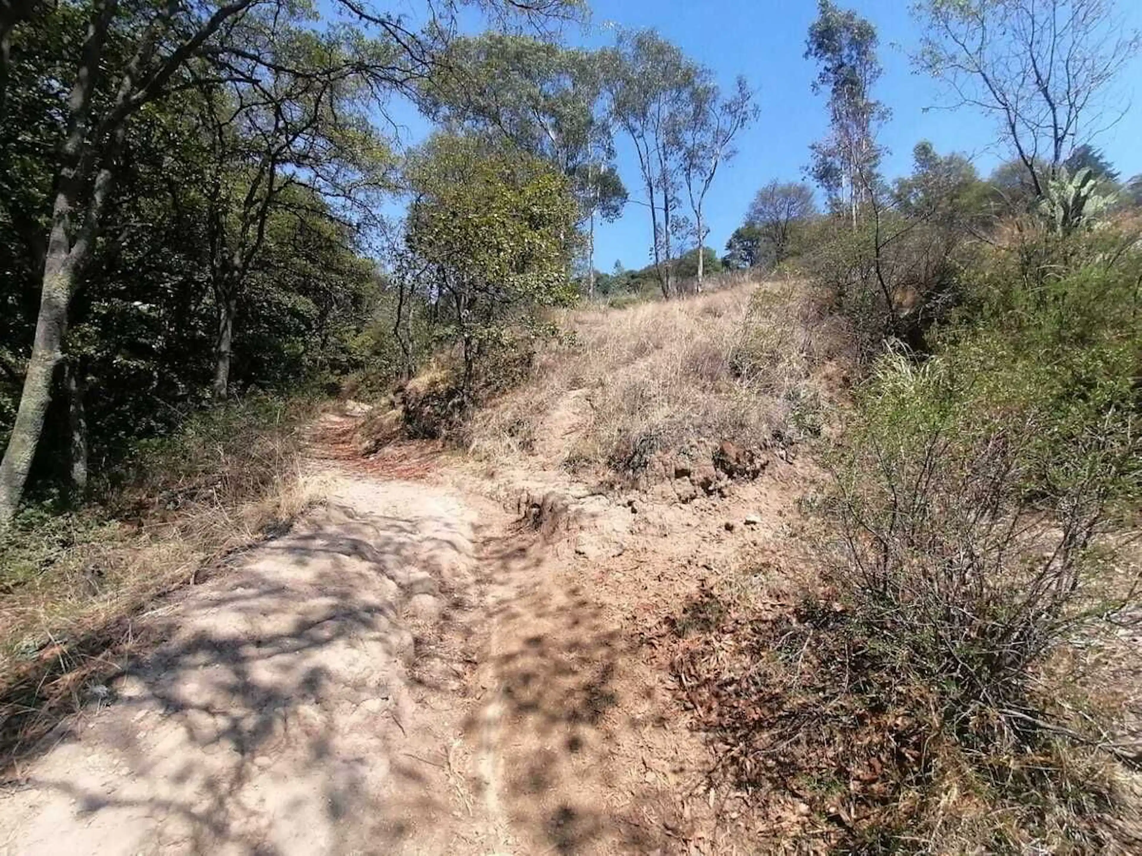 TERRENO EN VENTA LOMA DEL RIO NICOLAS ROMERO