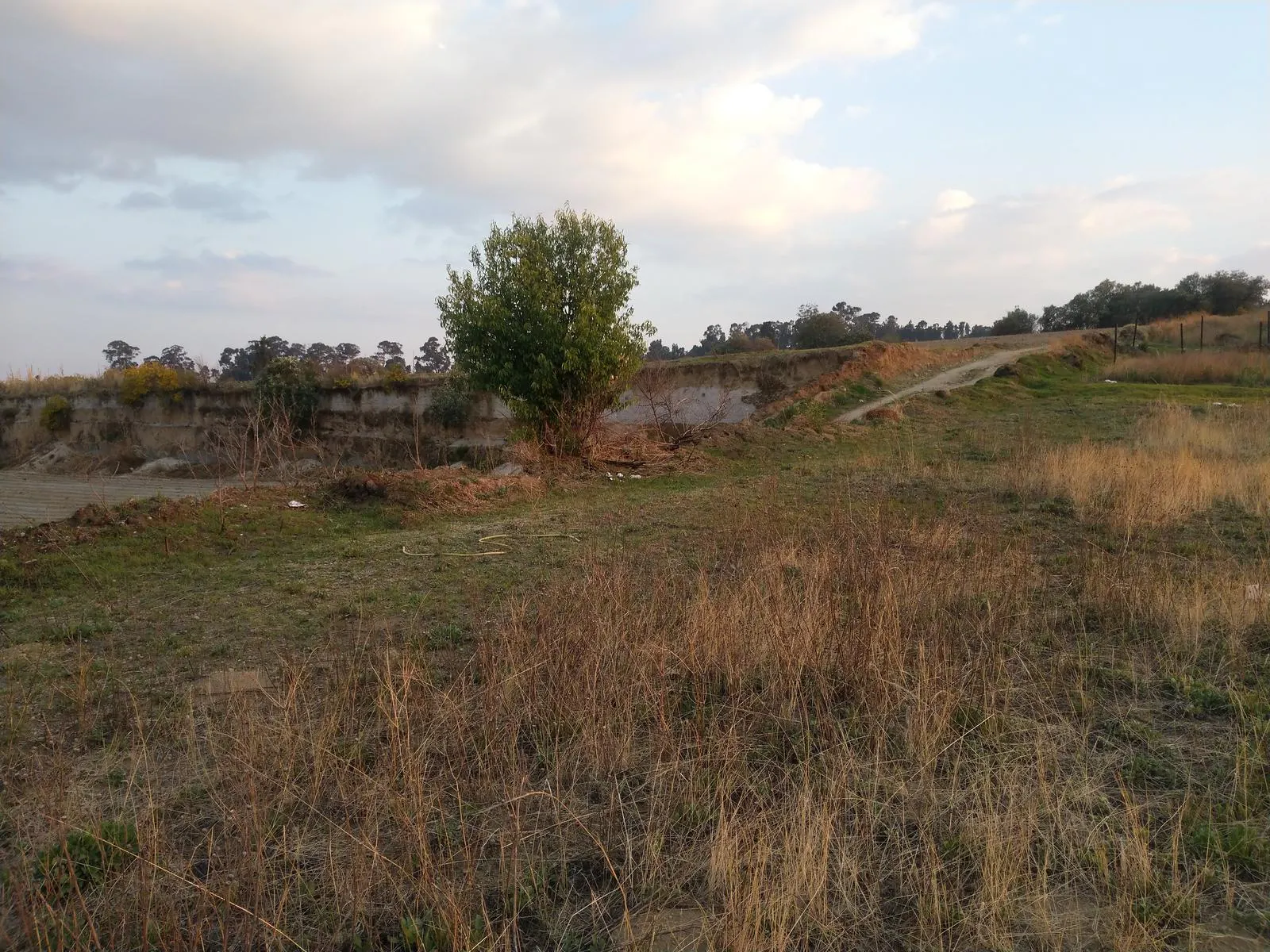 Terreno Spot2