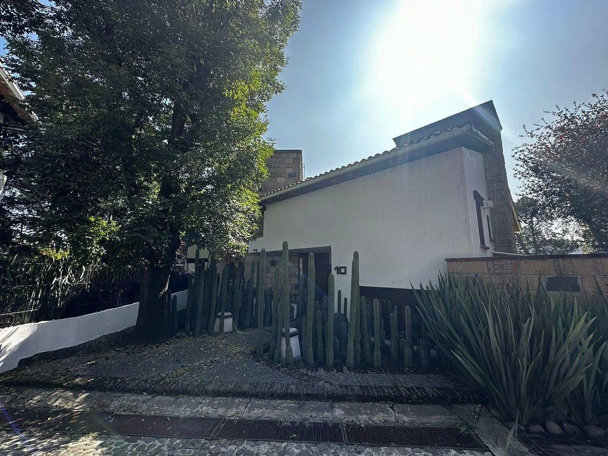 Terreno Spot2
