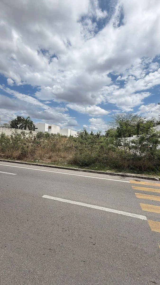 Terreno Spot2