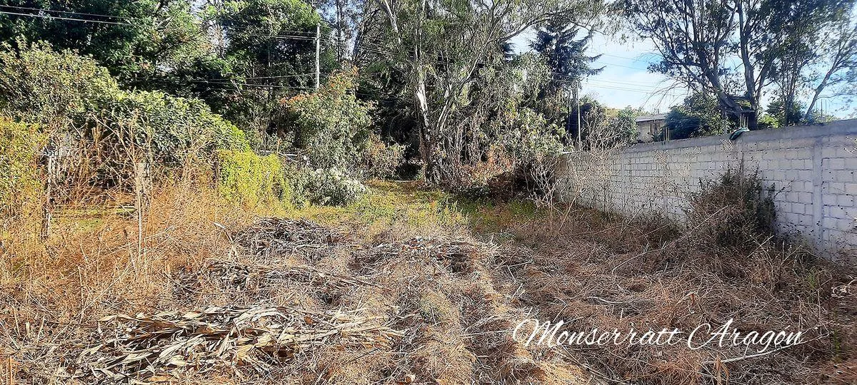 Terreno Spot2