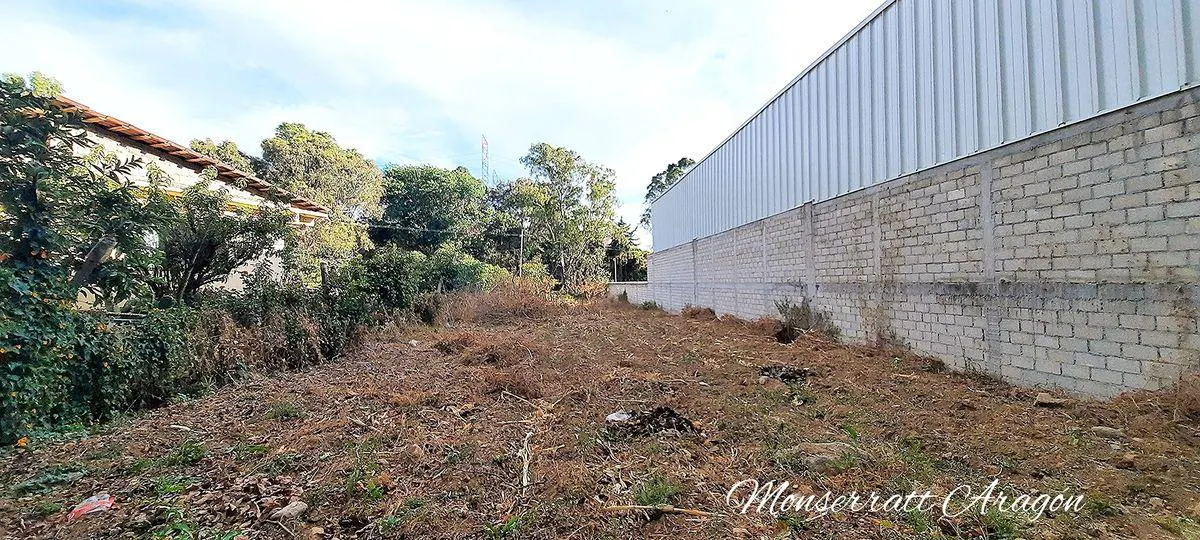 Terreno Spot2