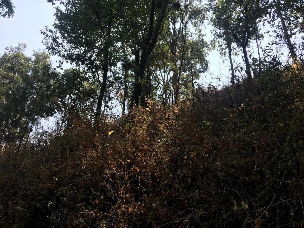 Terreno Spot2