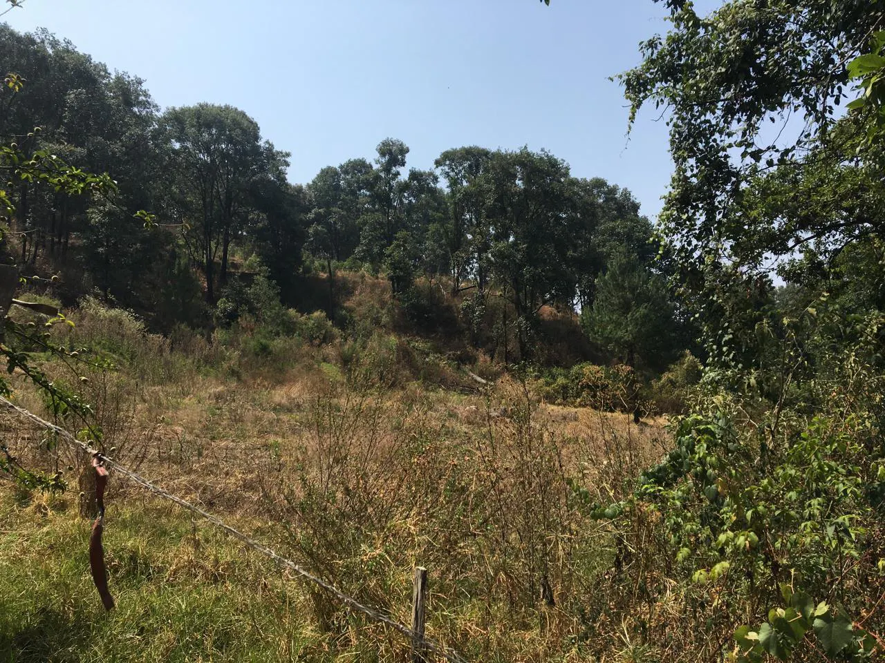 Terreno Spot2