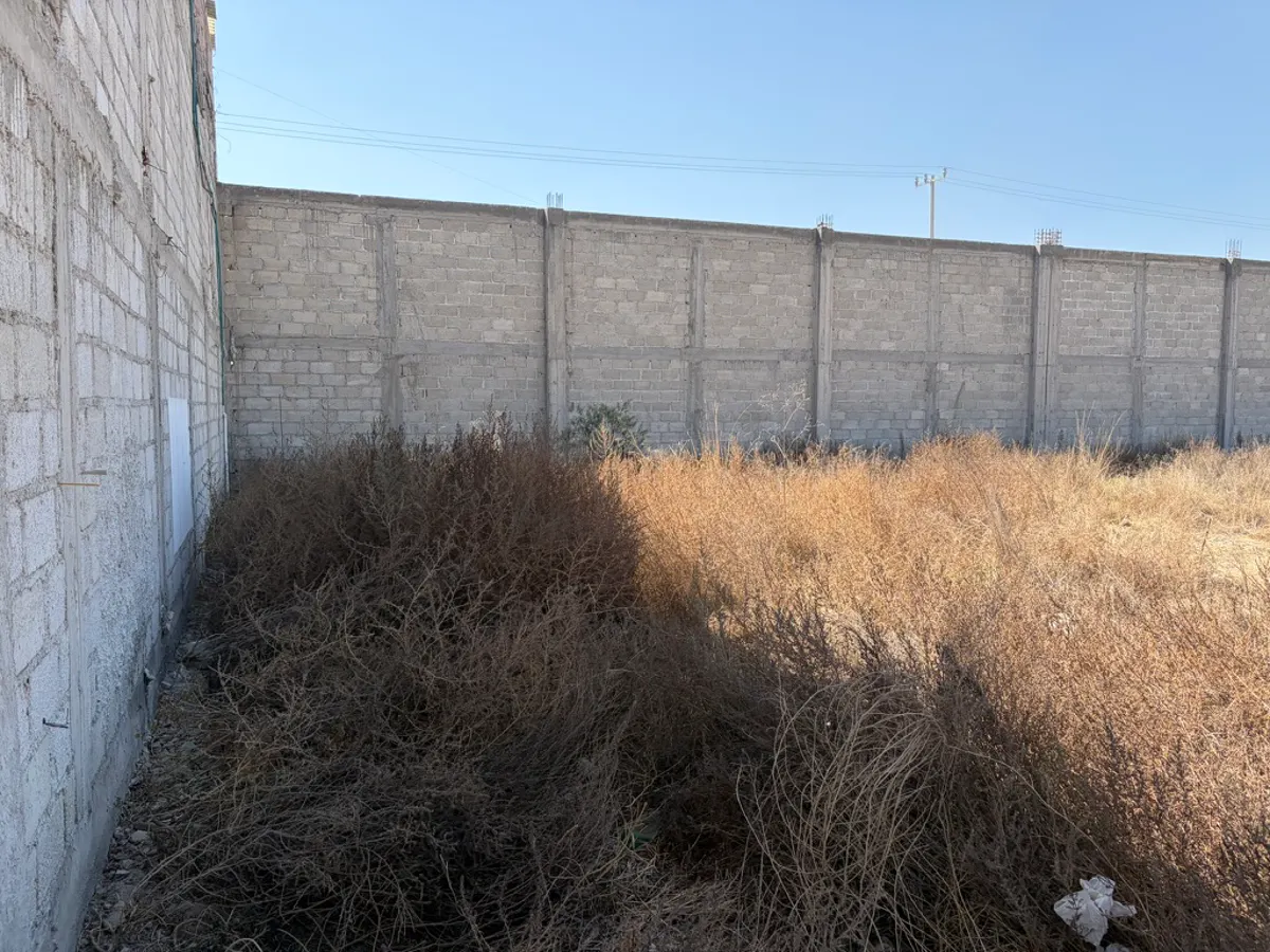 Terreno Spot2