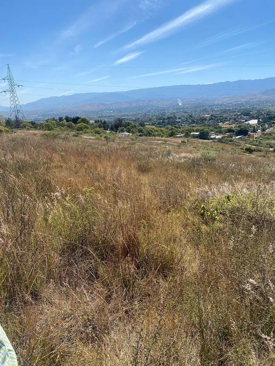 Terreno Spot2