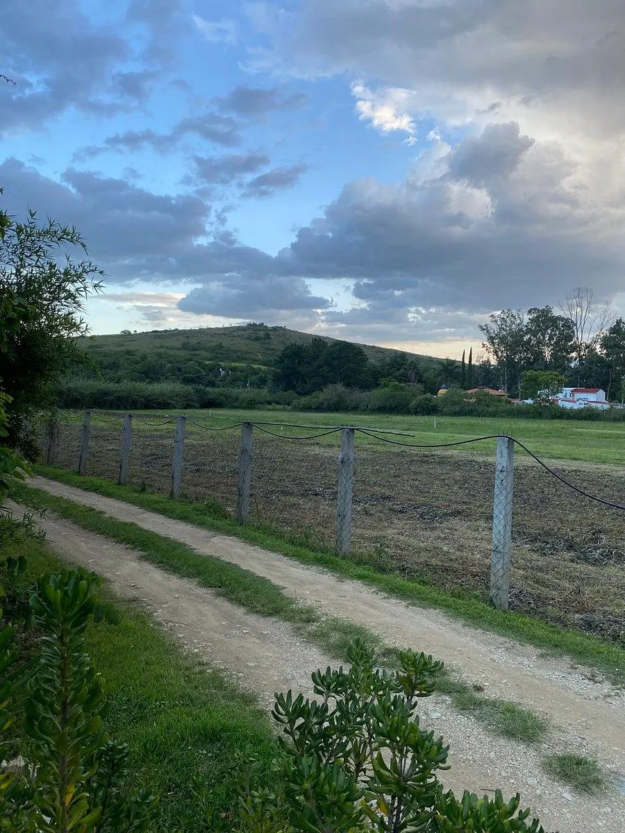 Terreno Spot2