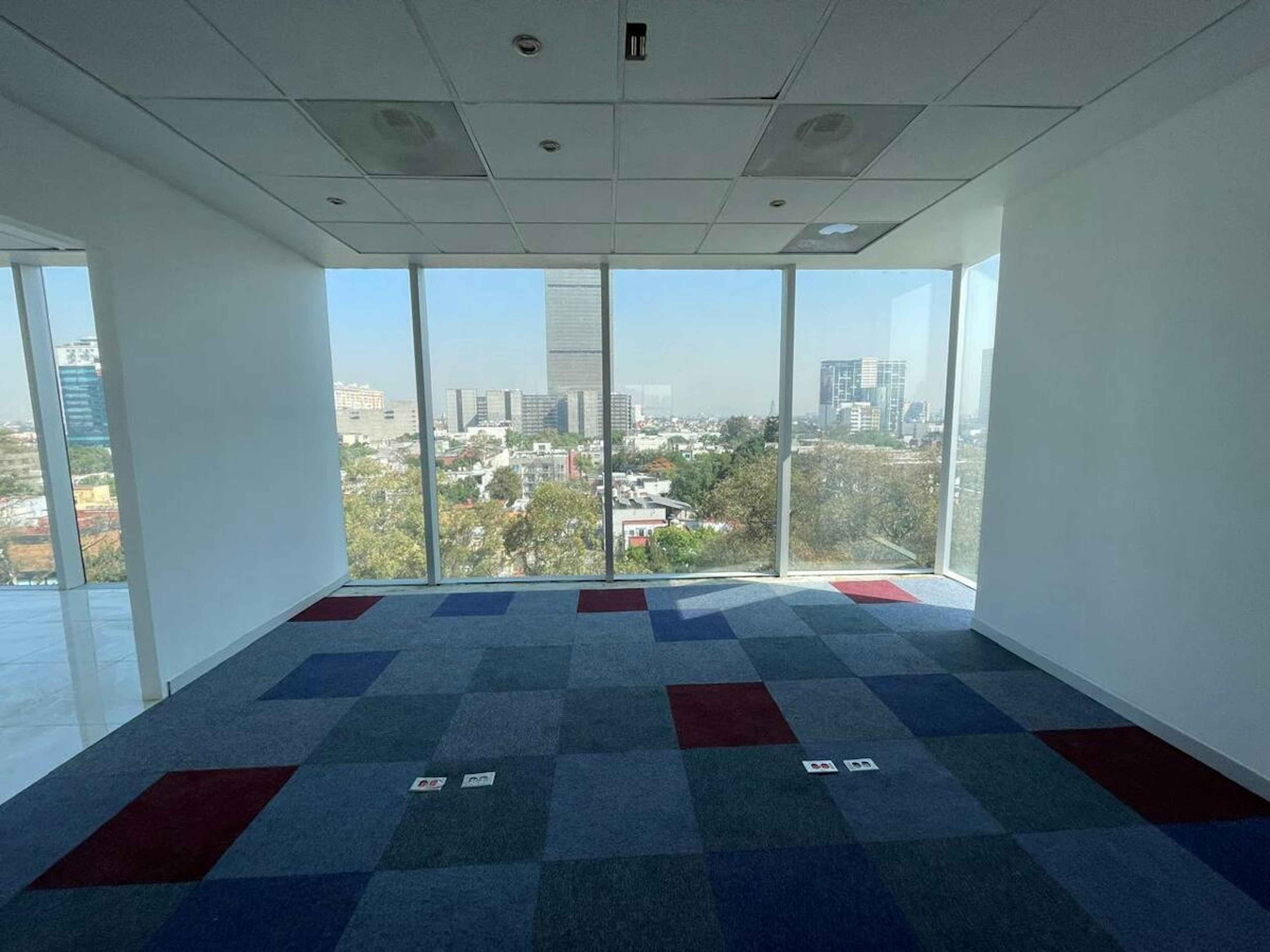 Avenida Ejército Nacional Mexicano