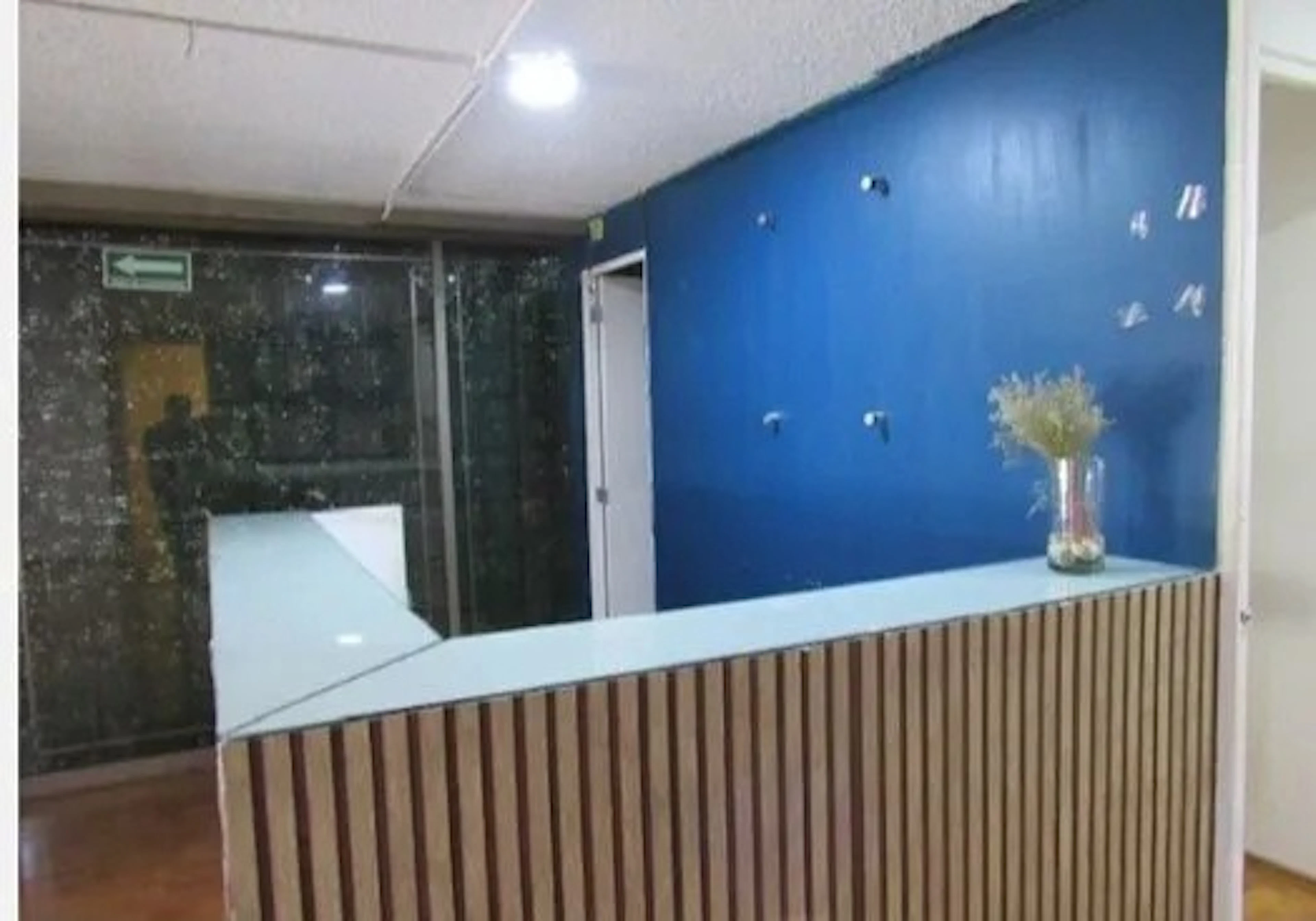 Local Comercial Spot2