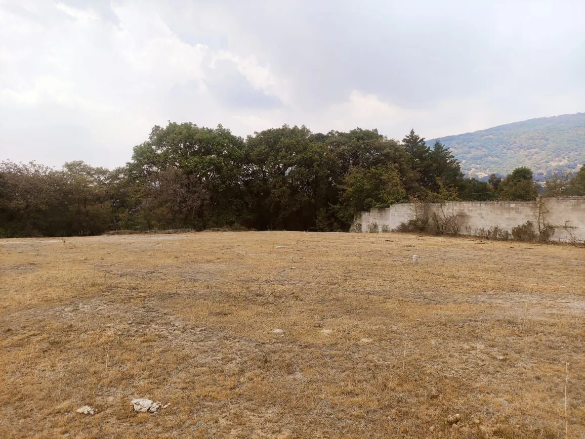Terreno Spot2