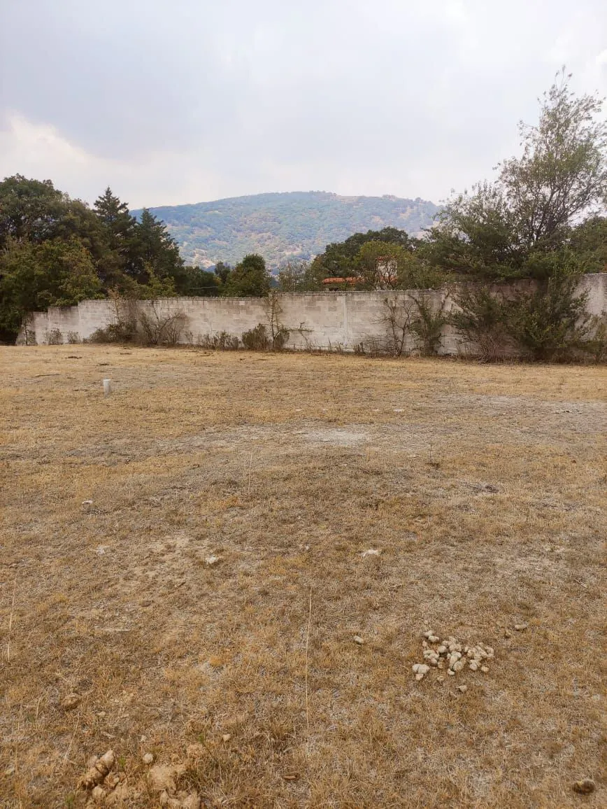 Terreno Spot2