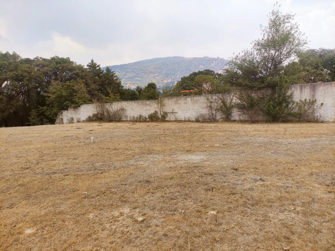 Terreno Spot2
