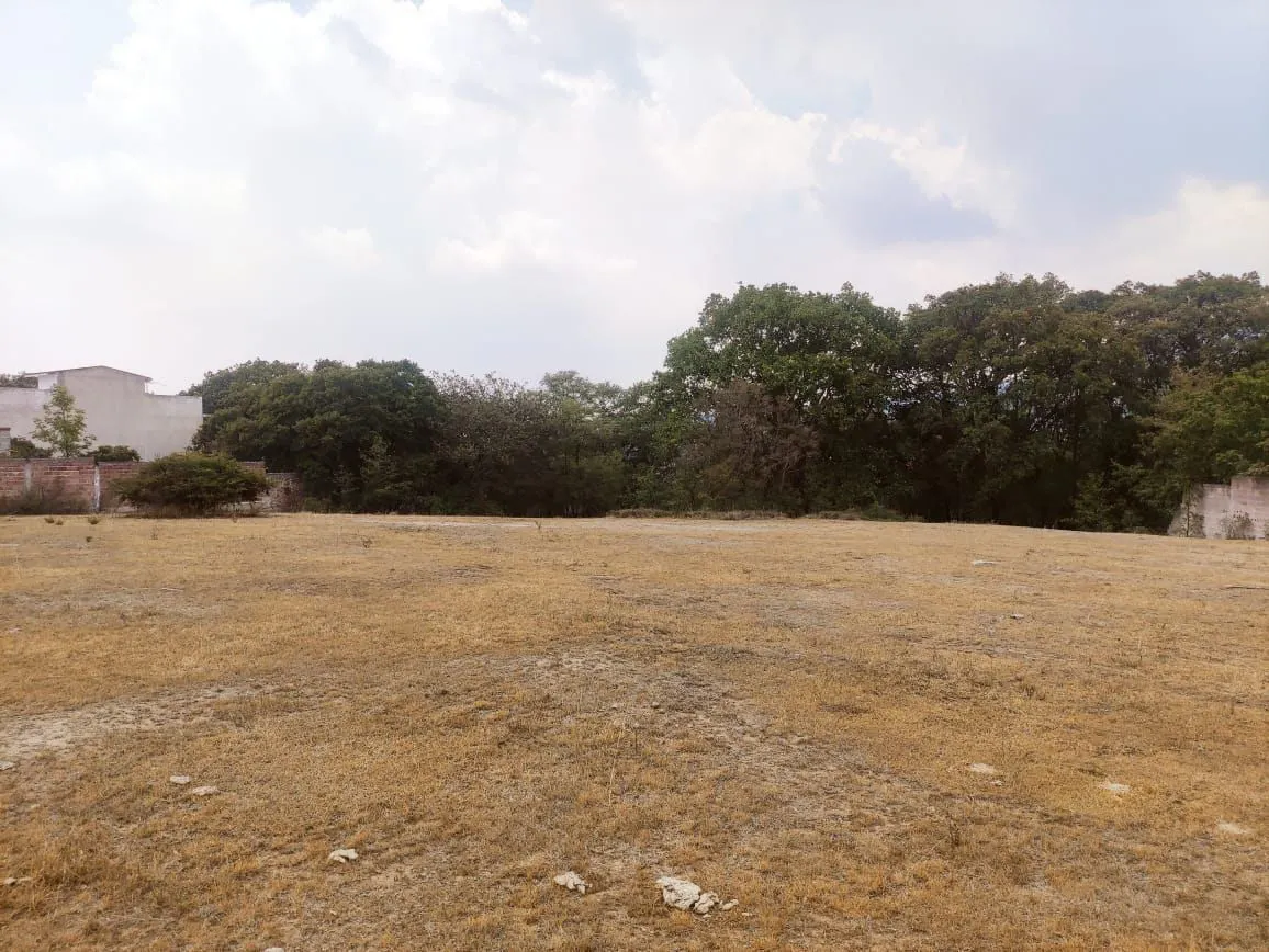 Terreno Spot2