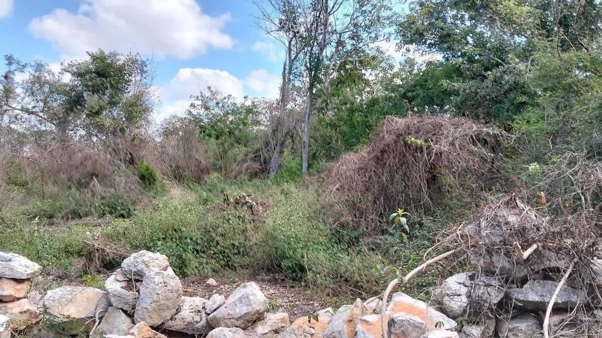 Terreno Spot2