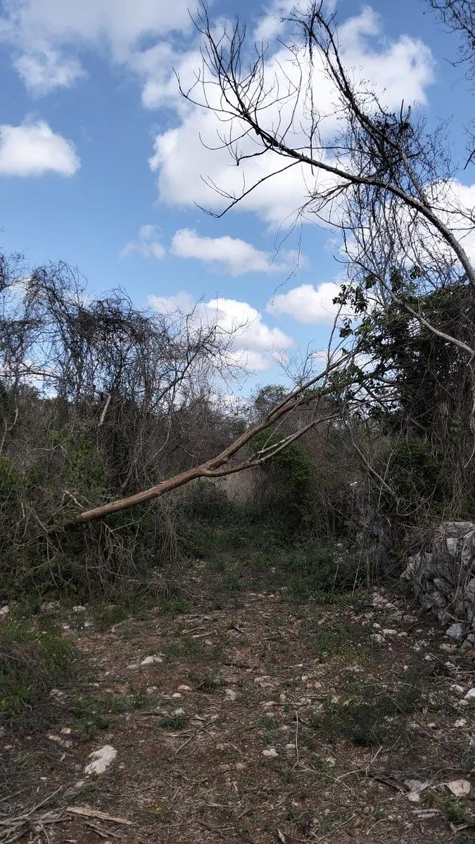 Terreno Spot2
