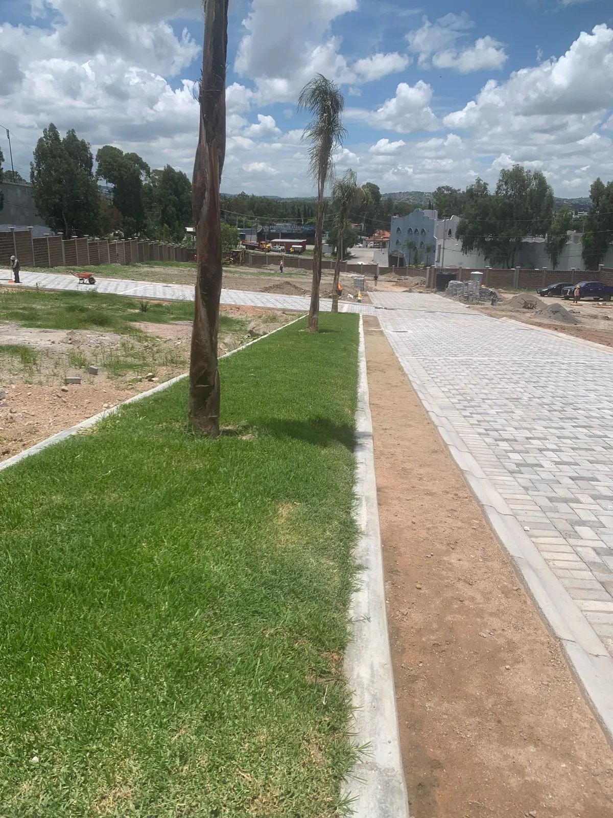 Terreno Spot2