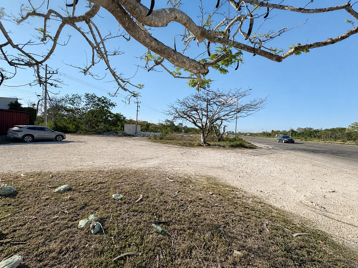 Terreno Spot2