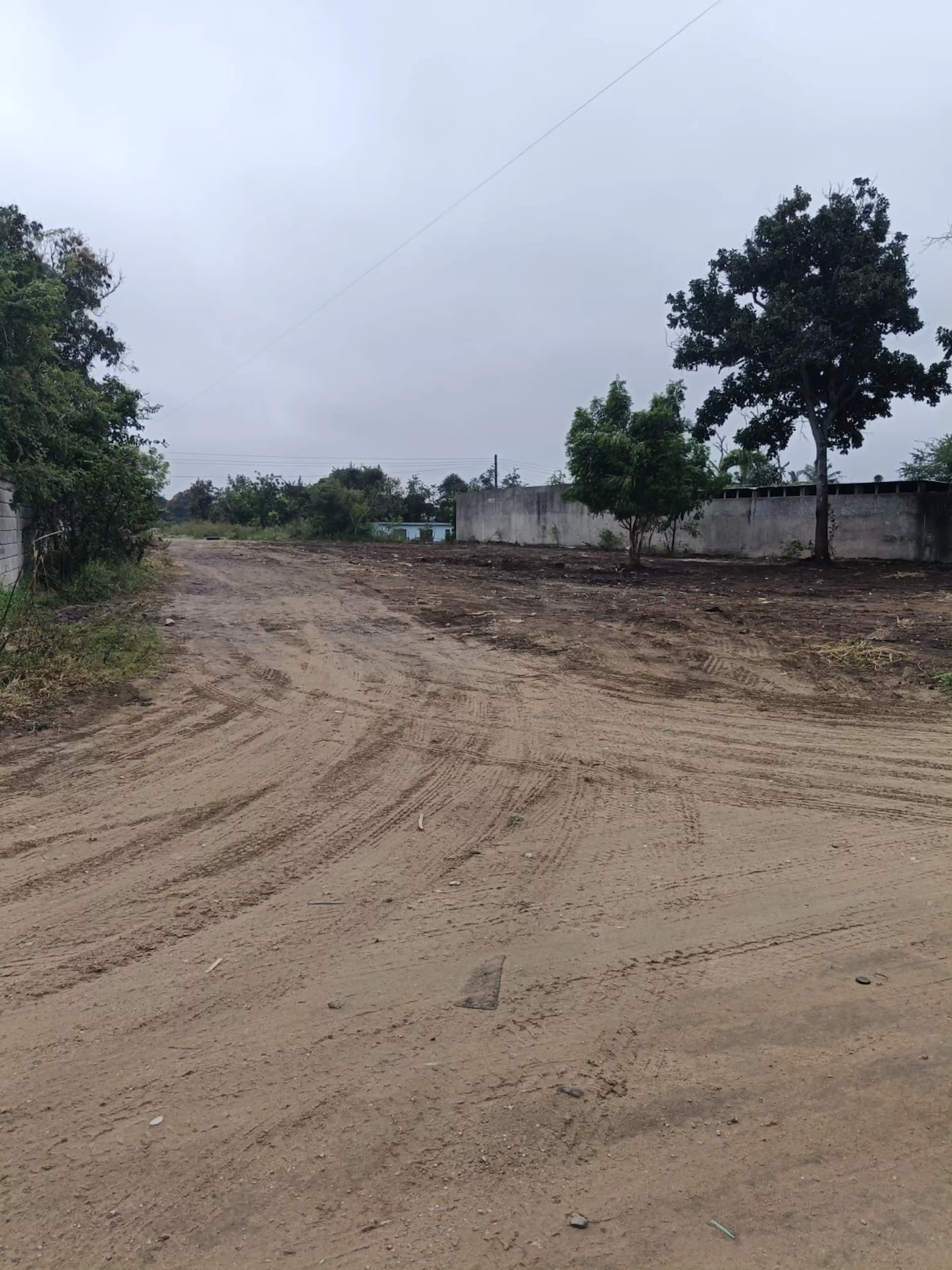 Terreno - Ejido Francisco Medrano