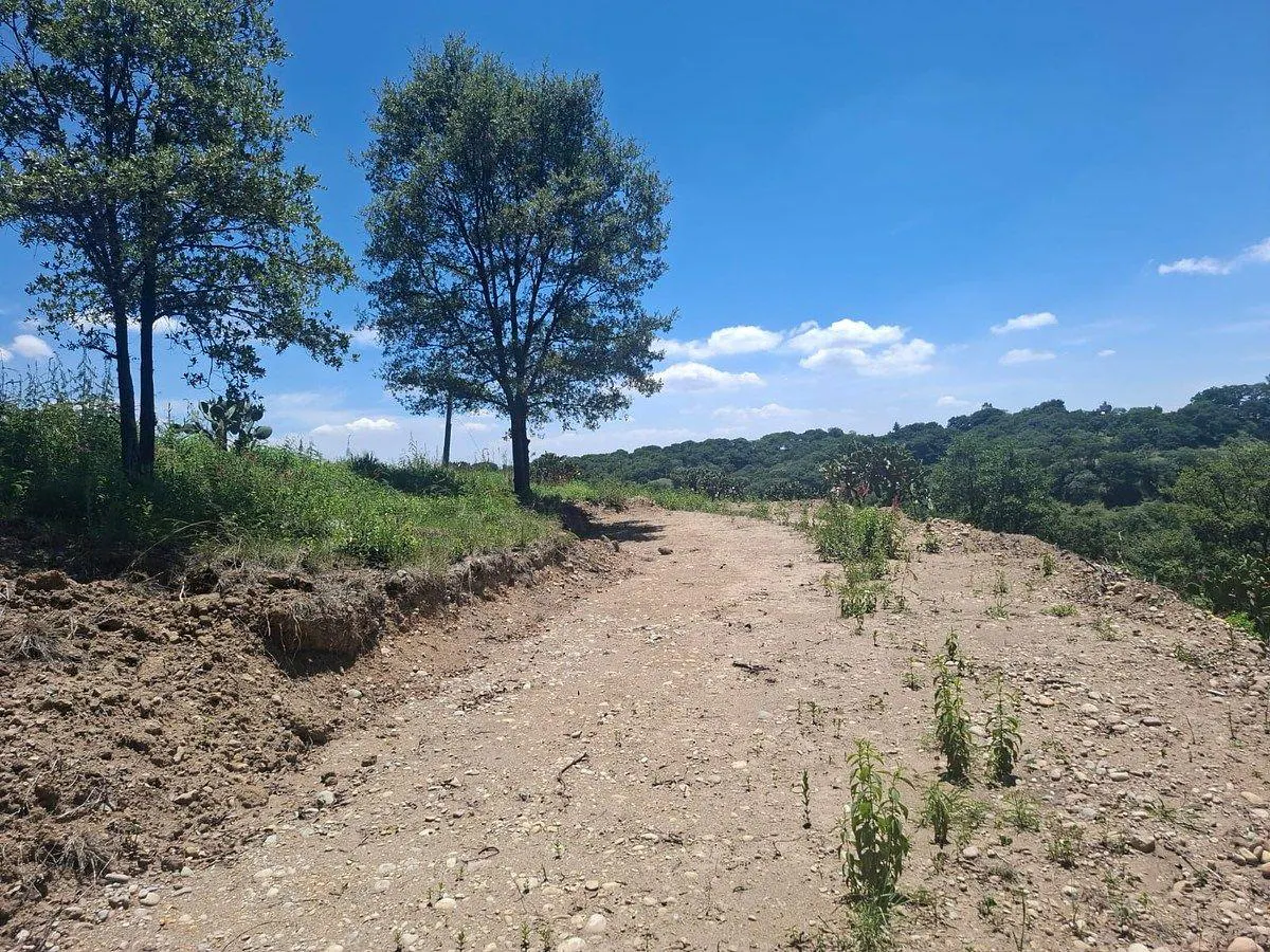 Terreno Spot2