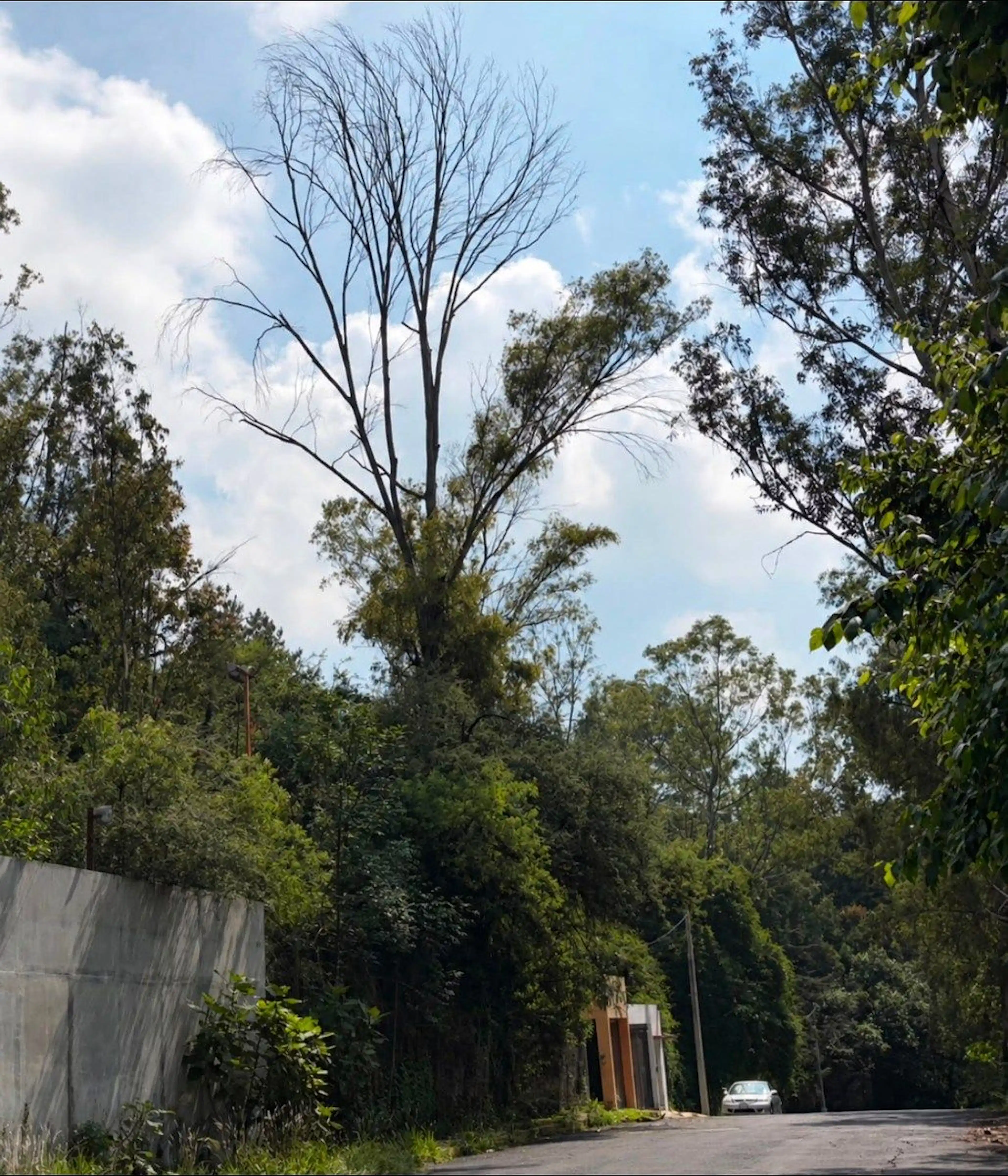 Gran Oportunidad! Terreno en Venta Lomas del Huizachal,RTV685949