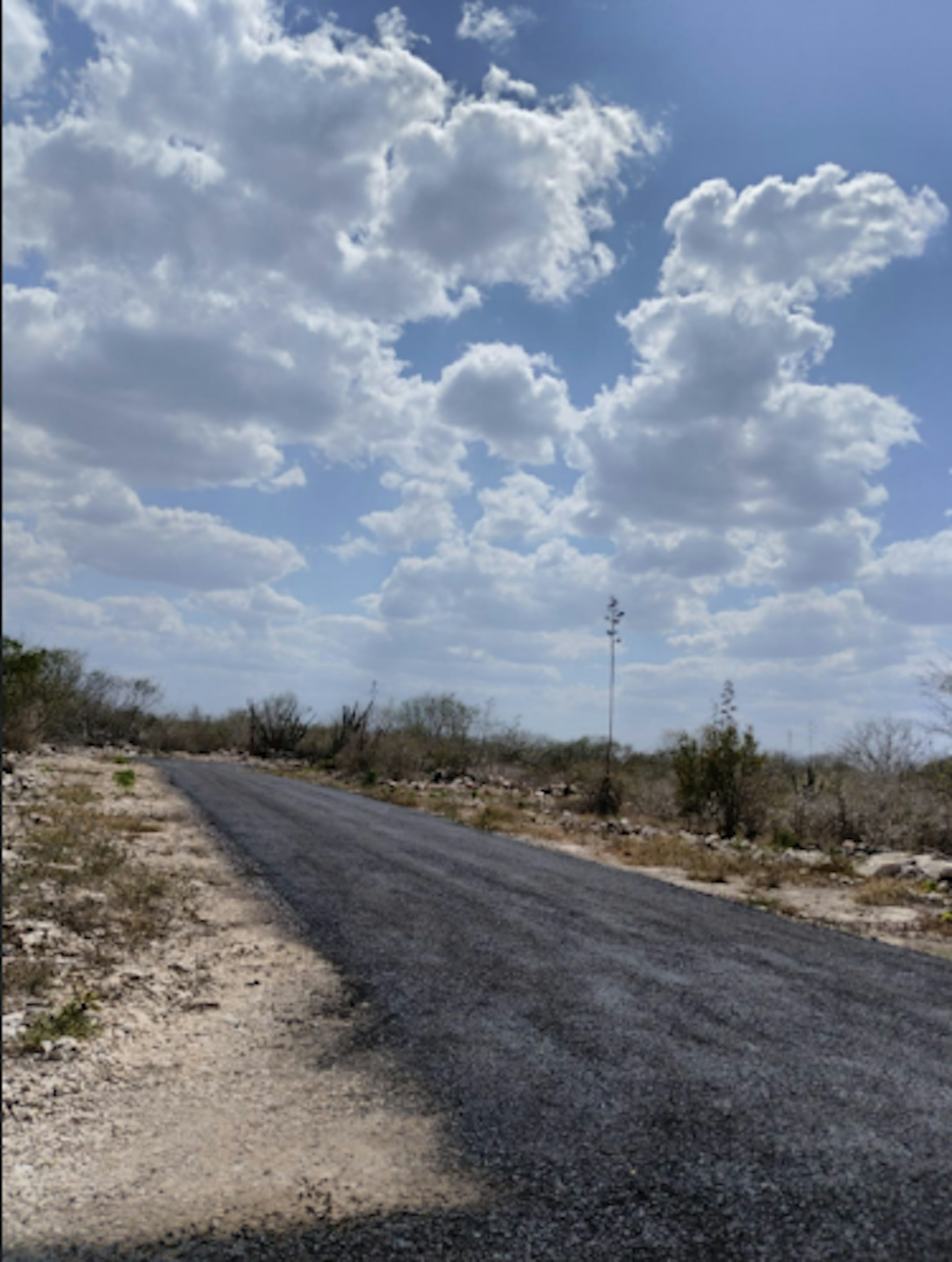 Etapa 2 Lote 531-photo