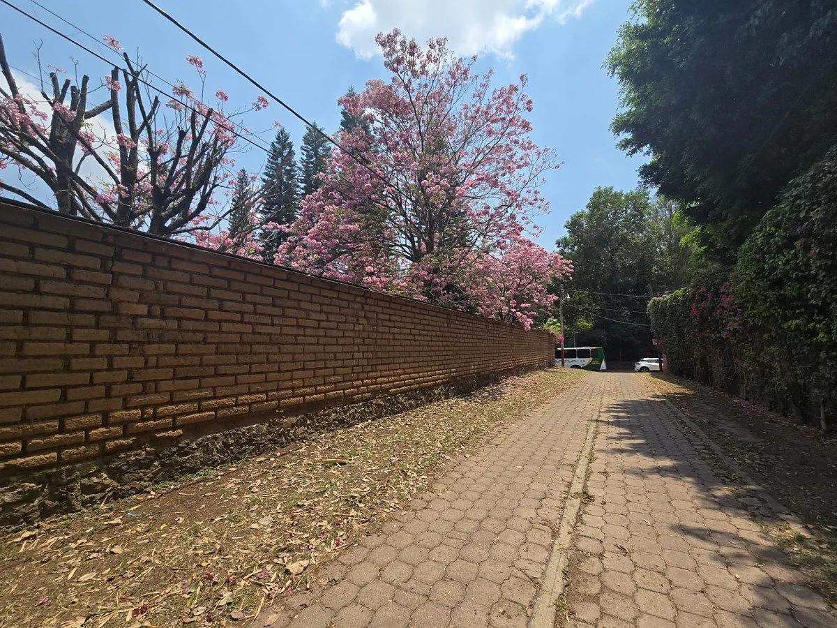 Terreno Spot2