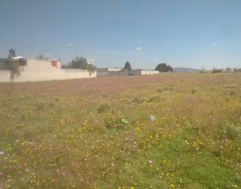 Terreno Spot2