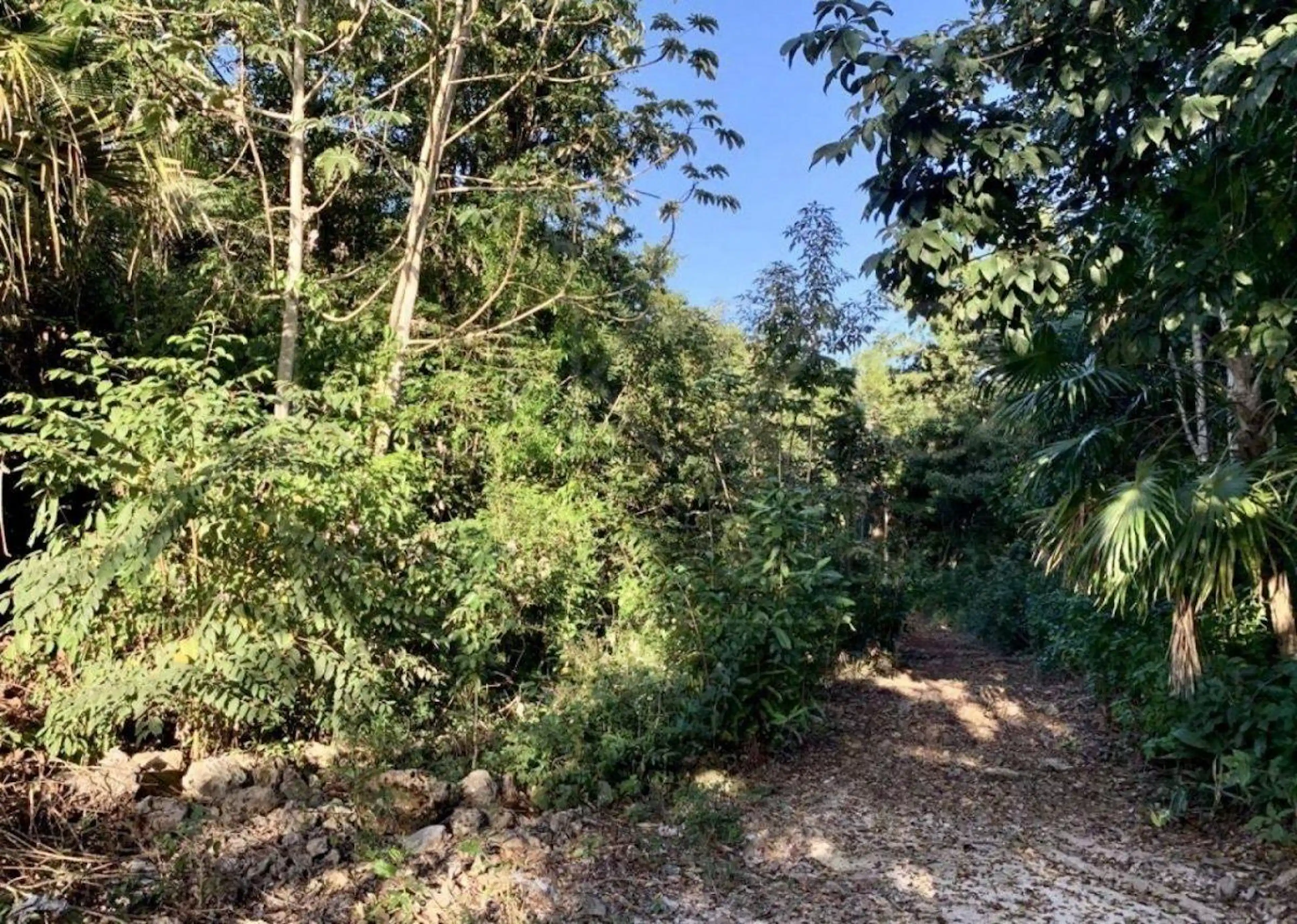 Terreno en venta en Bacalar