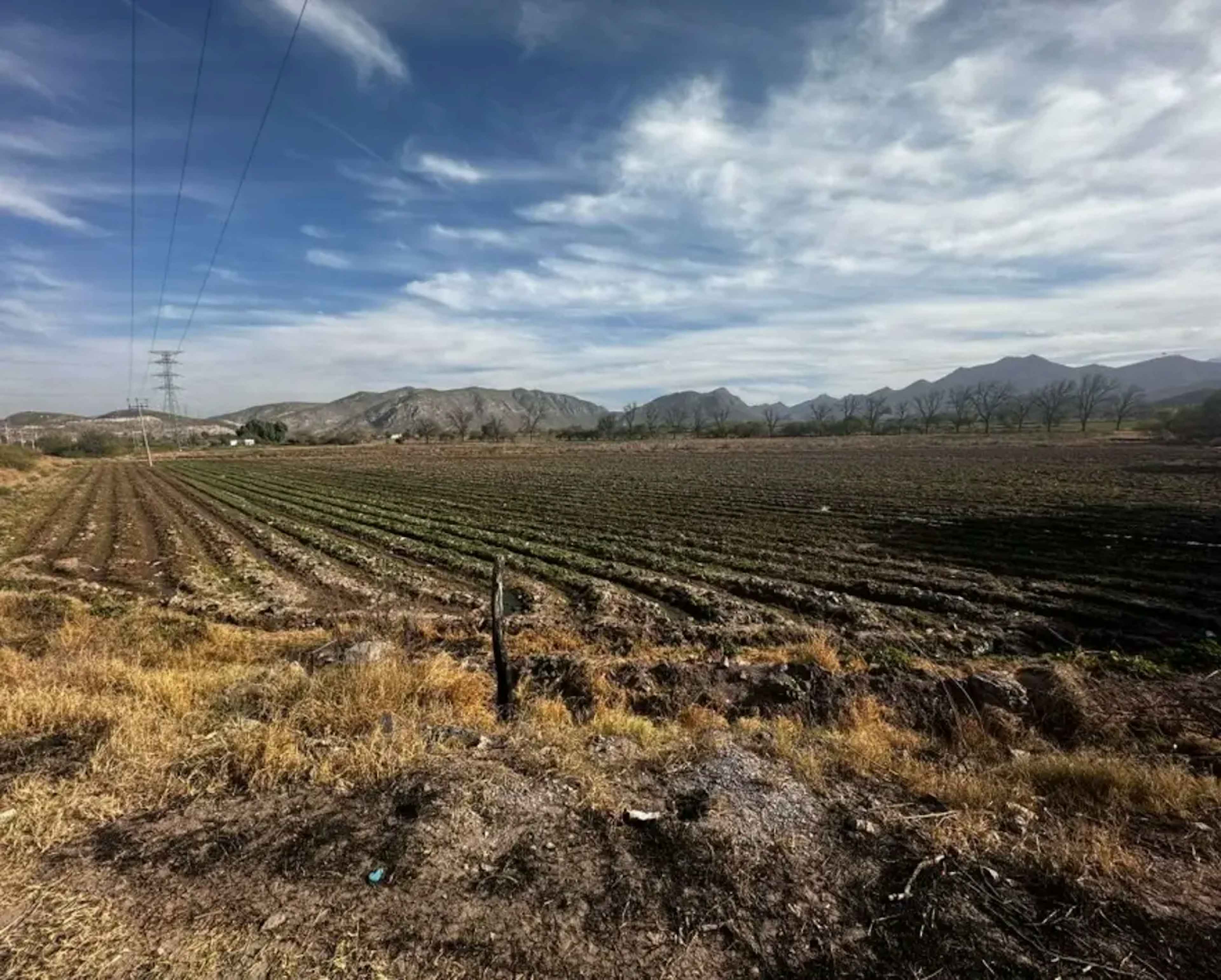 Terreno En Venta En San Jose, Chihuahua, Chihuahua