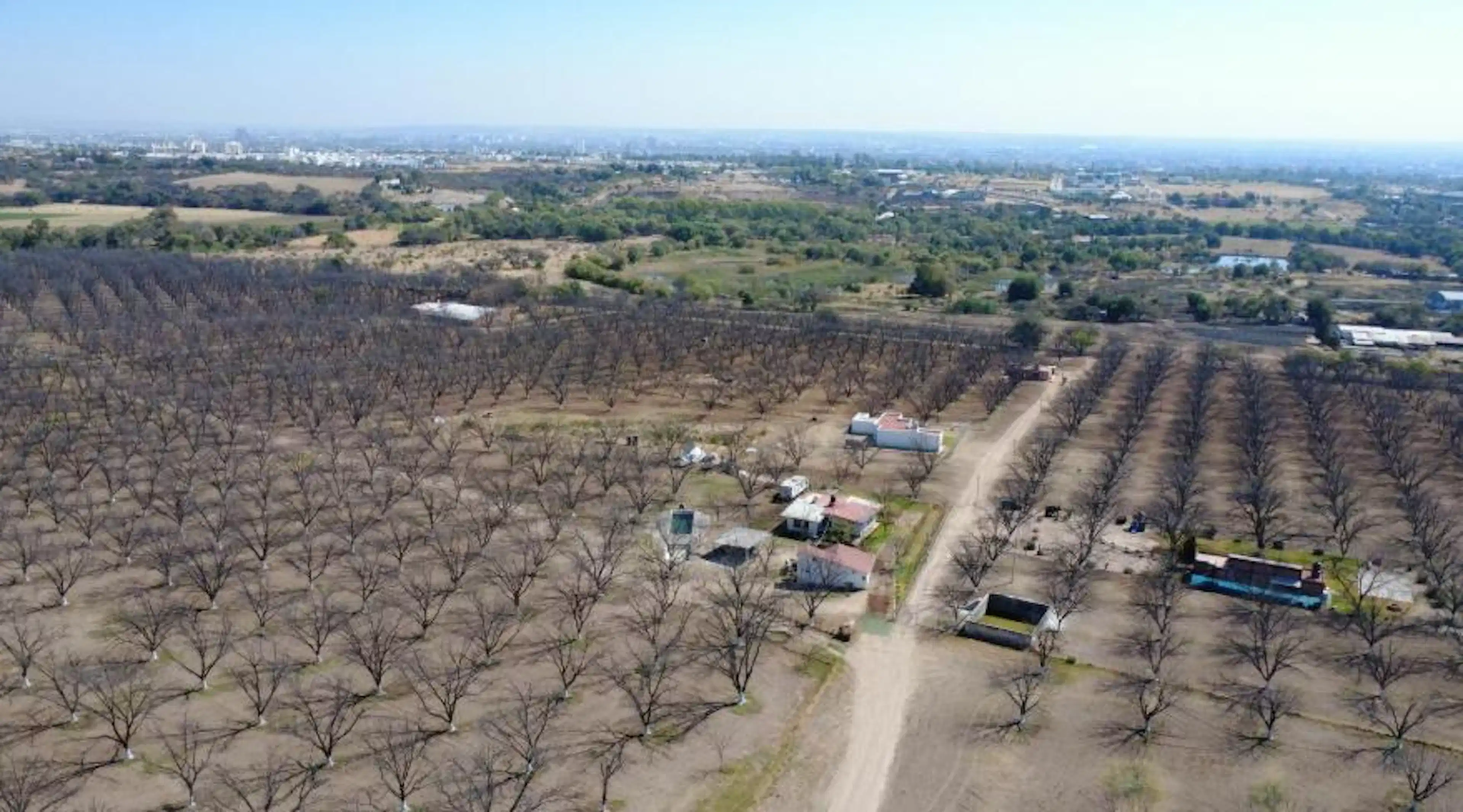 Terreno En Venta En La Nogalera, El MezÓn