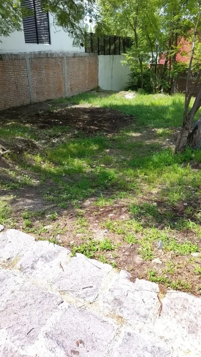 Terreno Spot2