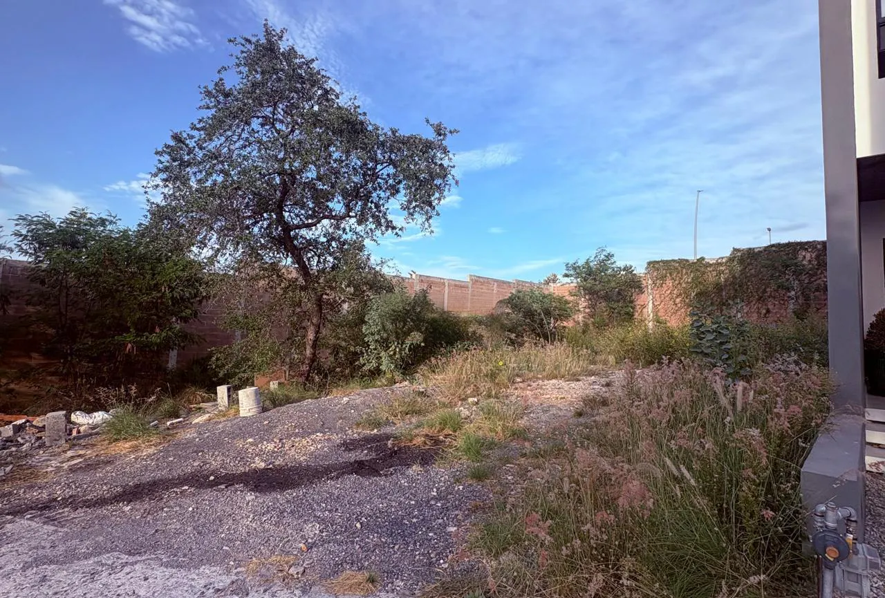 Terreno Spot2