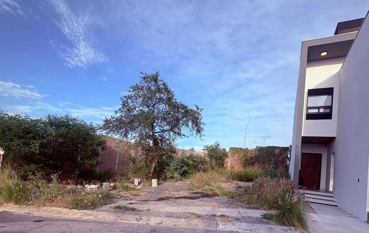 Terreno Spot2