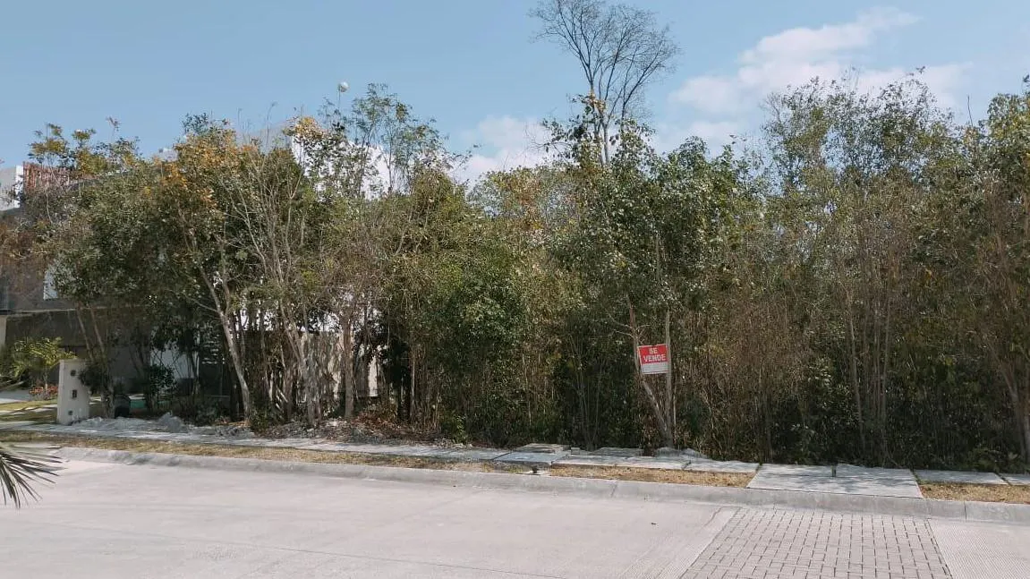 Terreno Spot2