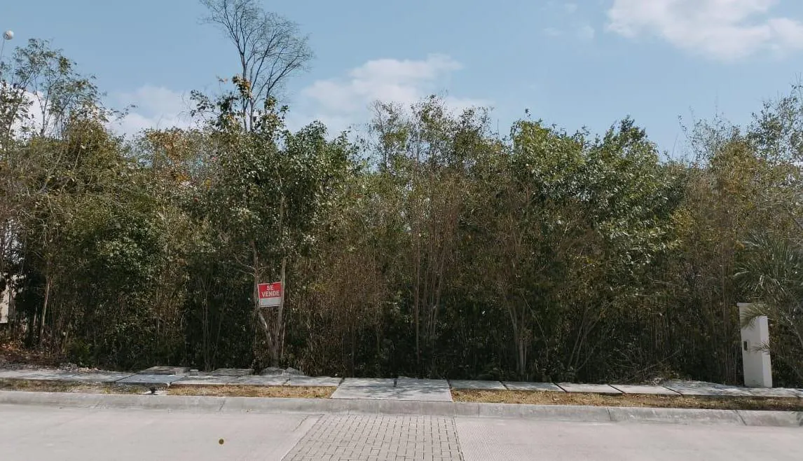 Terreno Spot2