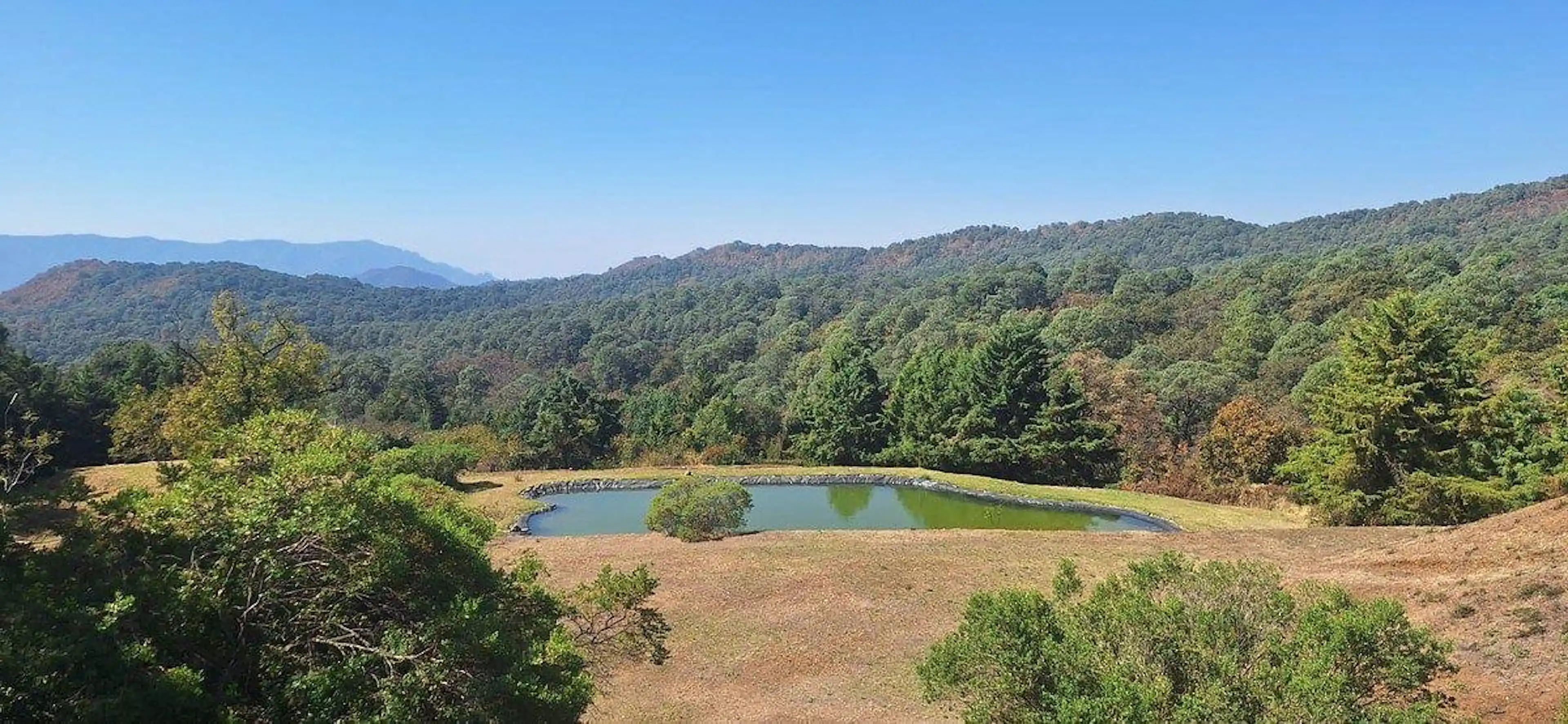 Terreno en San Gabriel Ixtla