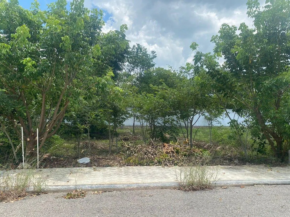 Terreno Spot2