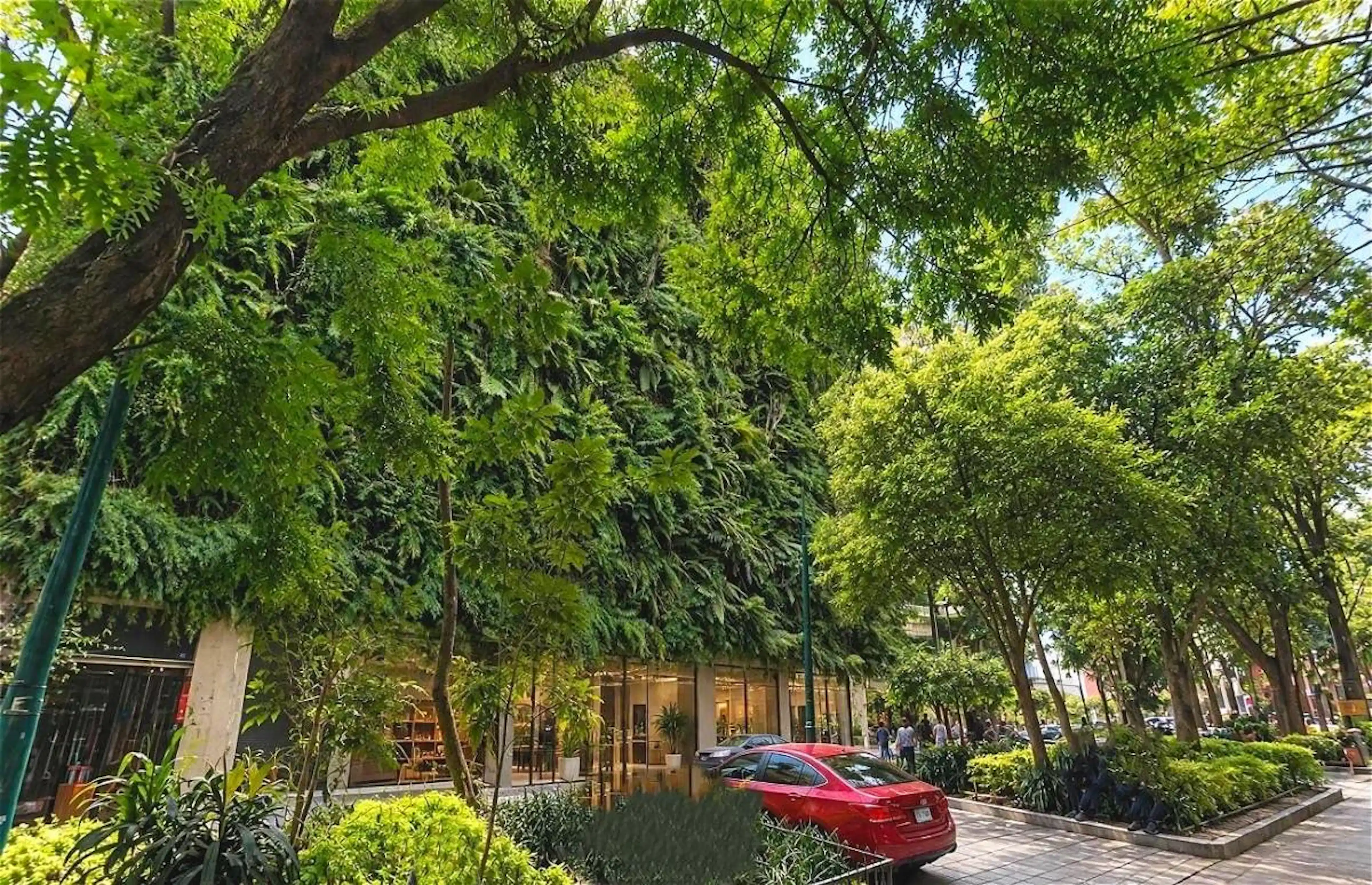 Local Comercial en Renta | 323 m² | Juárez - Esquina Doble Frente con Vitrina Espectacular