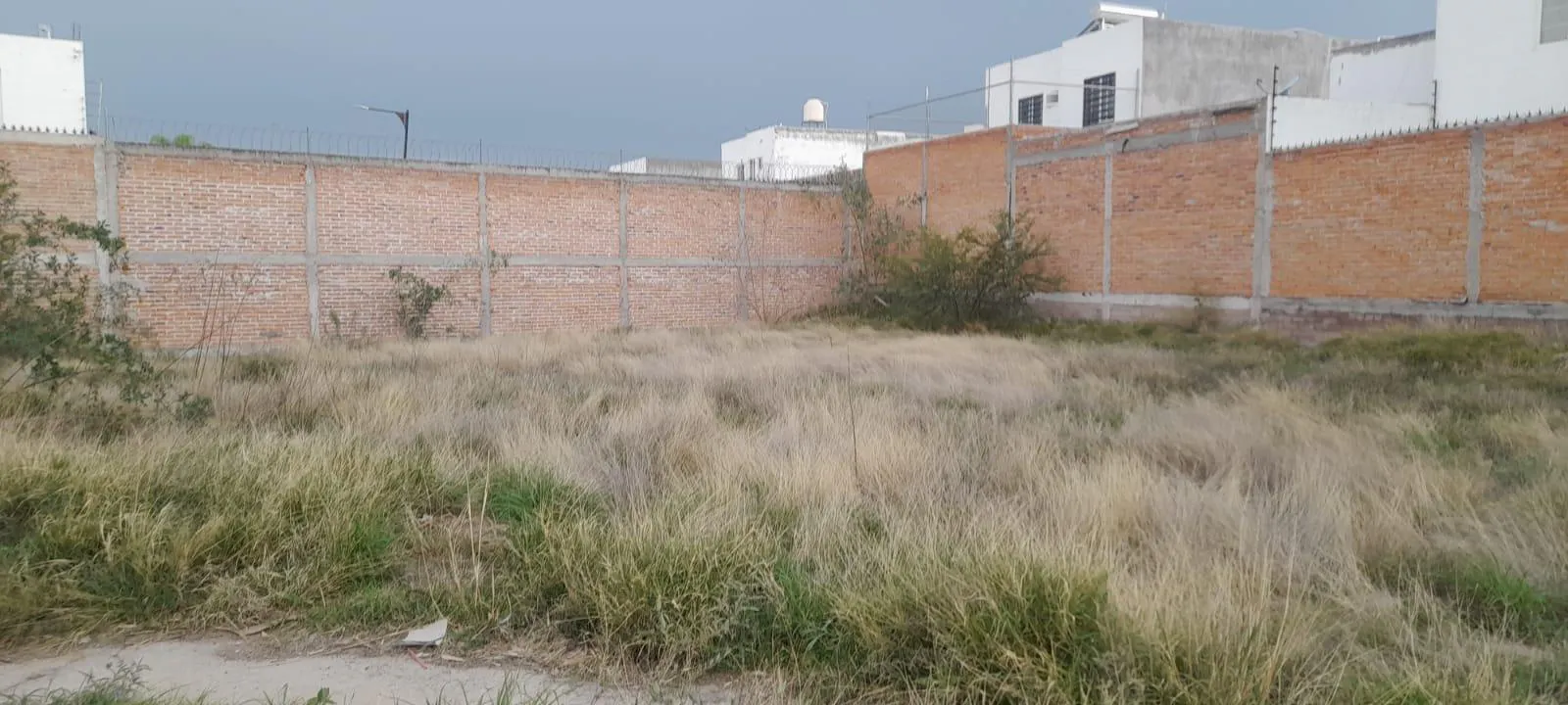 Terreno Spot2