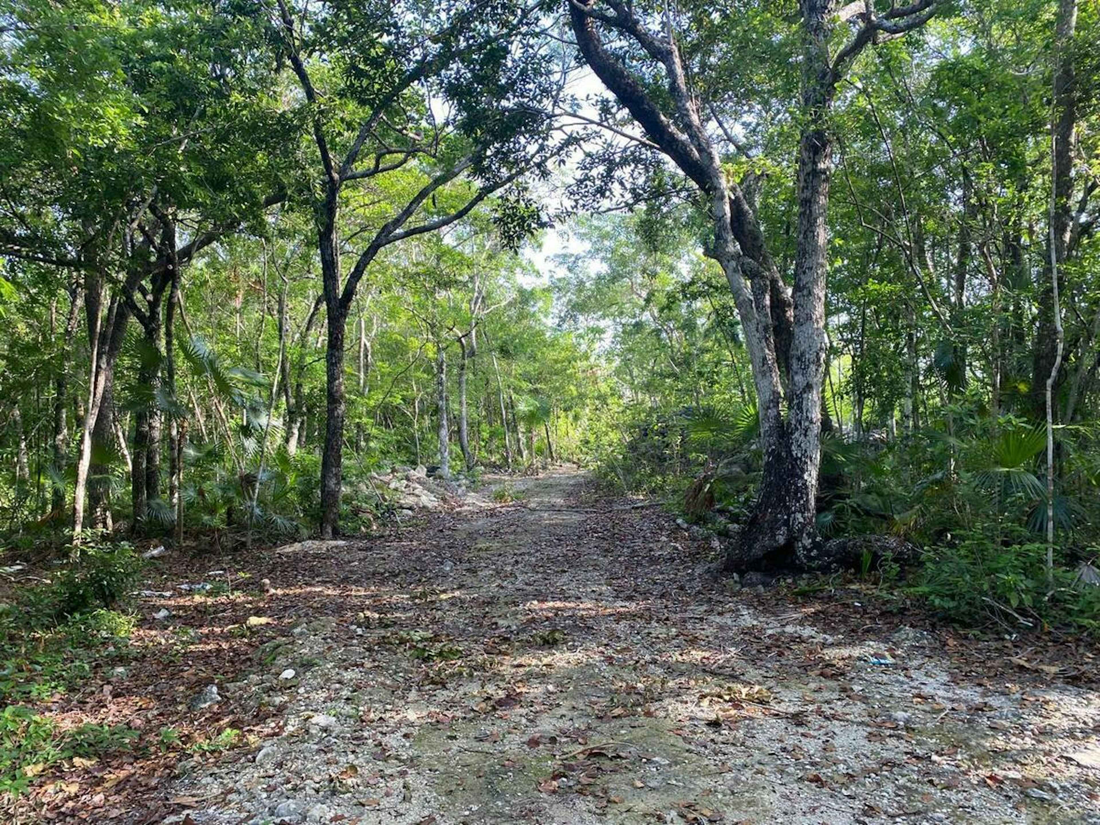 Terreno En Venta En Tulum, Solidaridad - Ideal Para Desarrollo
