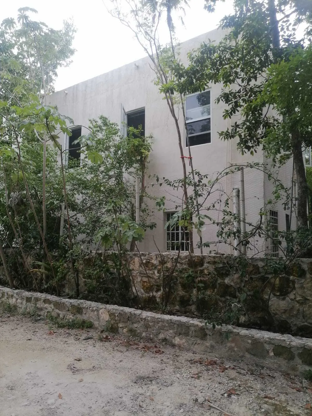 Terreno Spot2