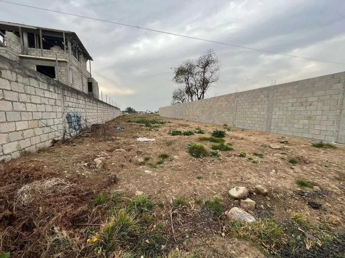 Terreno Spot2